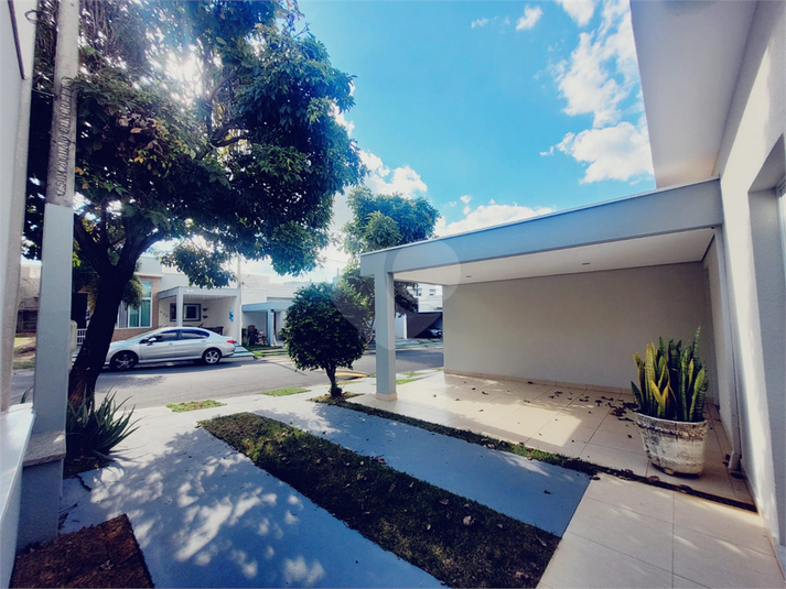 Foto REO1089453