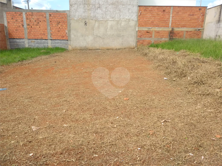 Foto REO1089456