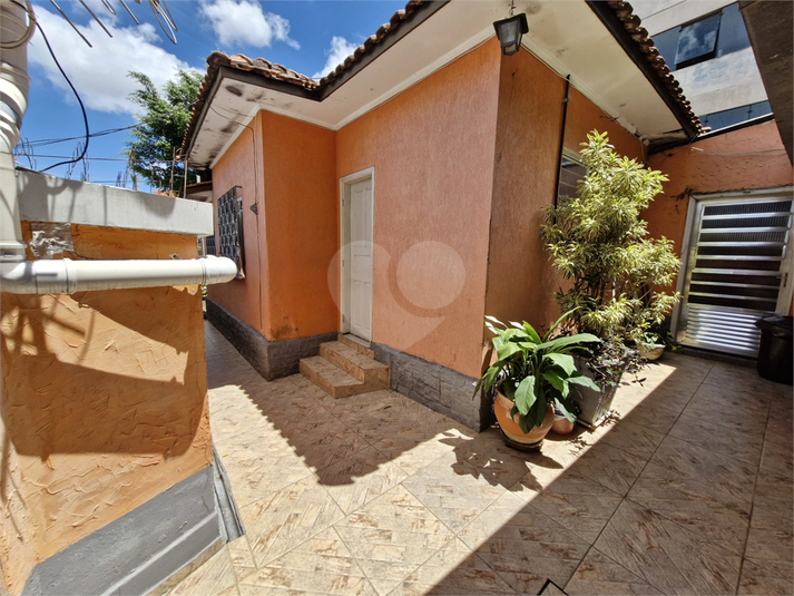 Foto REO1089465