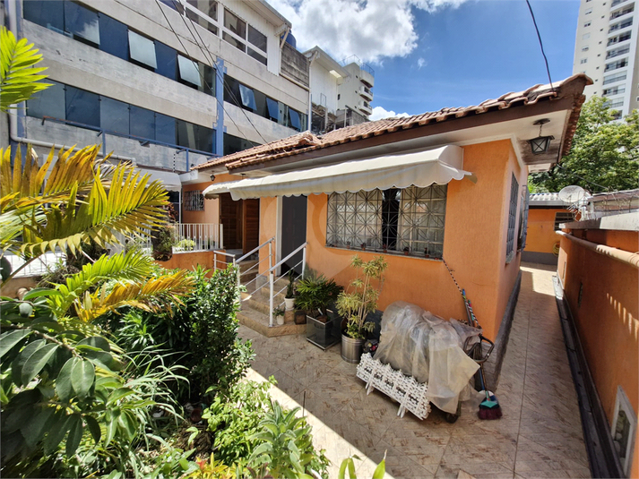 Foto REO1089465