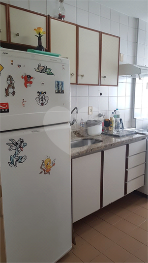 Foto REO1089468