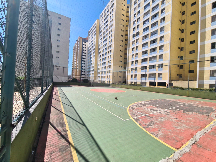 Foto REO1089469