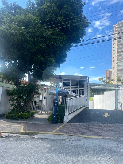 Foto REO1089470