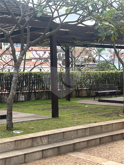Foto REO1089470