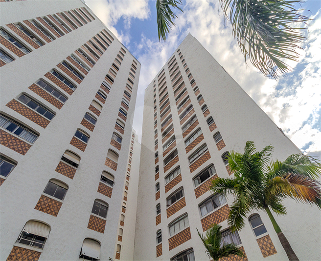 Foto REO1089483