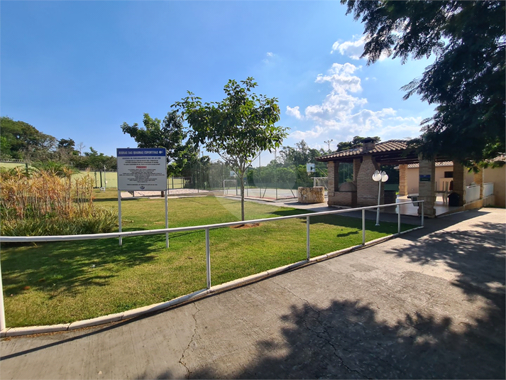 Foto REO1089484
