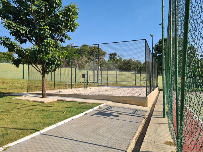 Foto REO1089484