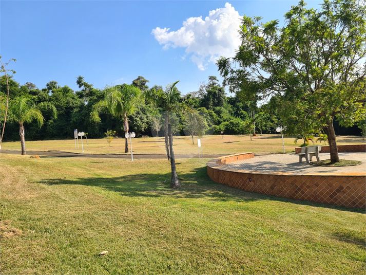 Foto REO1089484
