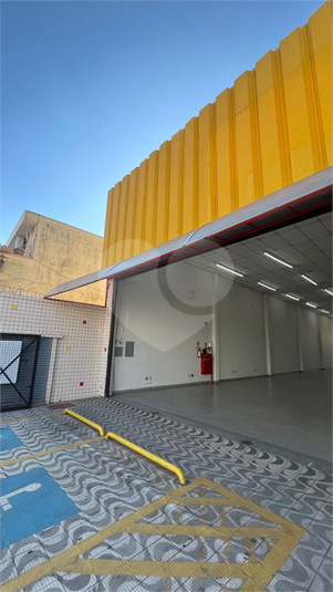 Foto REO1089485