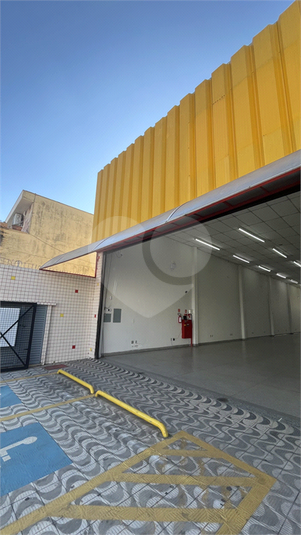 Foto REO1089485