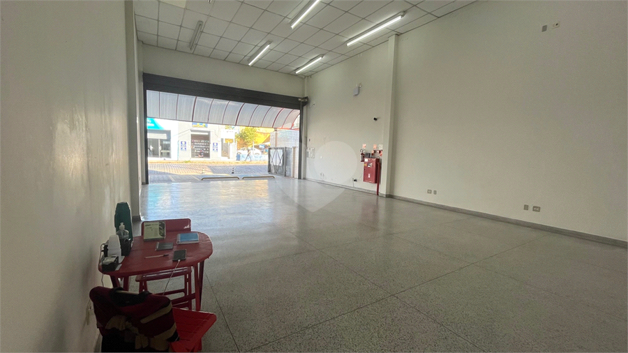 Foto REO1089485