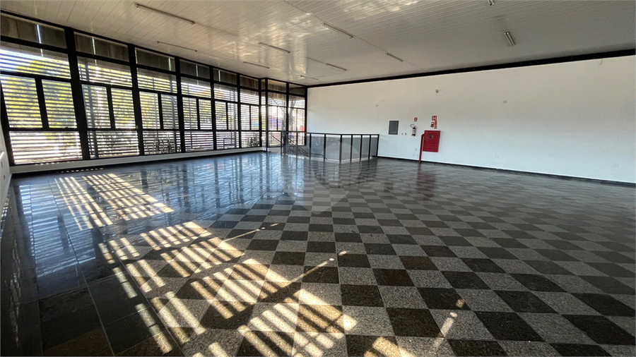 Foto REO1089487