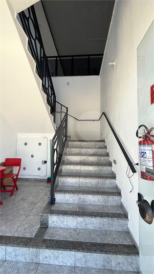 Foto REO1089487