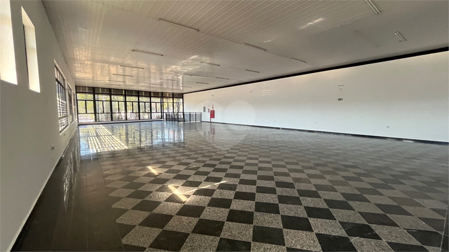 Foto REO1089487