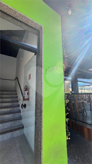 Foto REO1089487