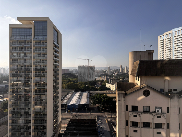 Foto REO1089490