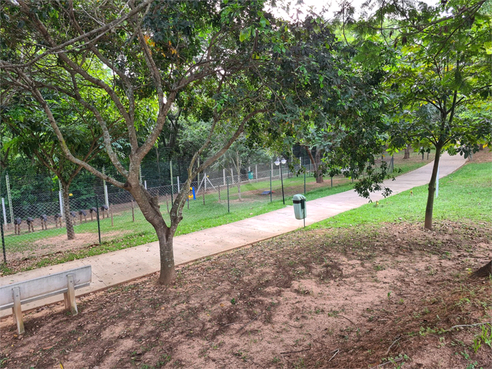 Foto REO1089492