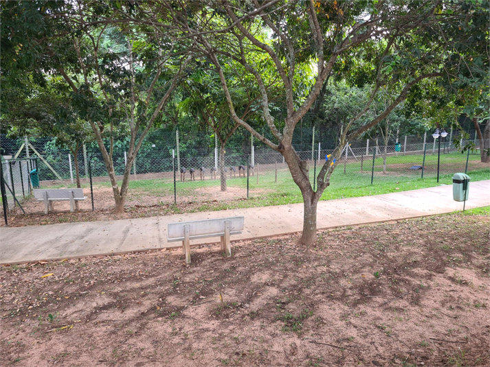 Foto REO1089492