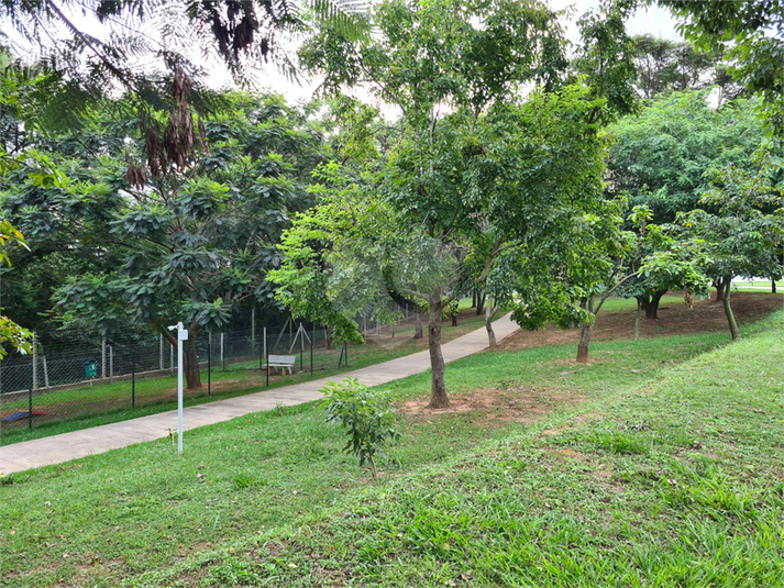 Foto REO1089492
