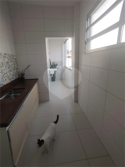 Foto REO1089495
