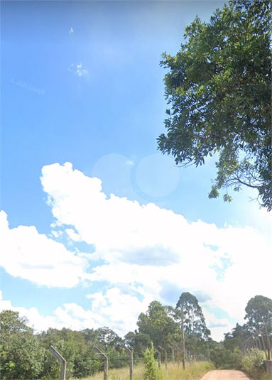 Foto REO1089503