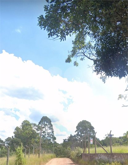 Foto REO1089503