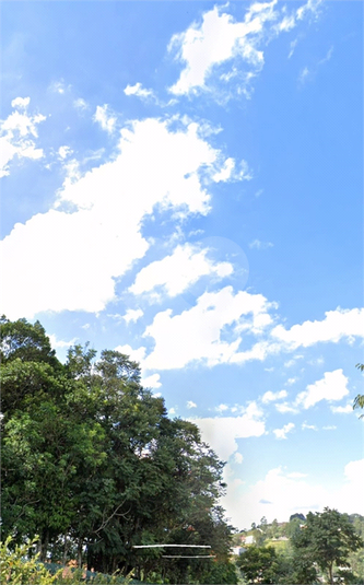 Foto REO1089503