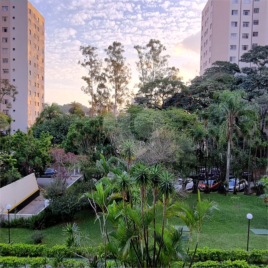 Foto REO1089504
