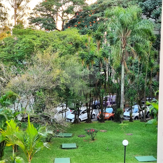 Foto REO1089504