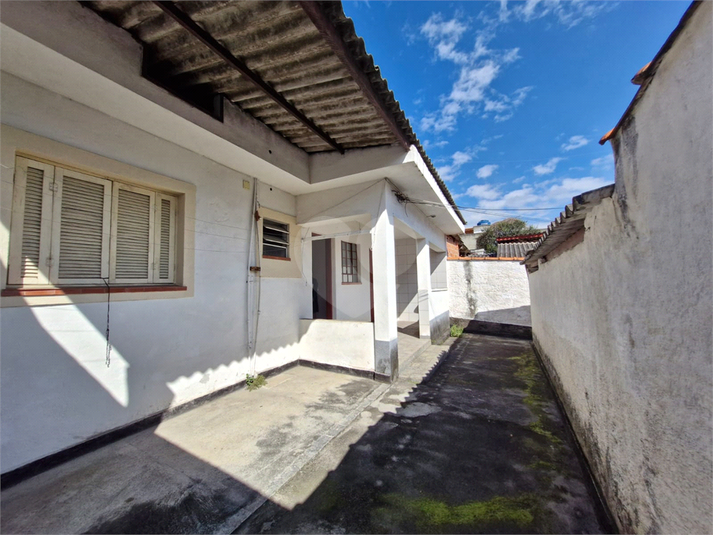 Foto REO1089506