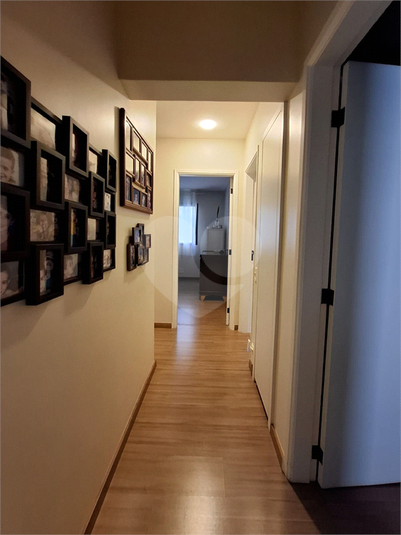 Foto REO1089511