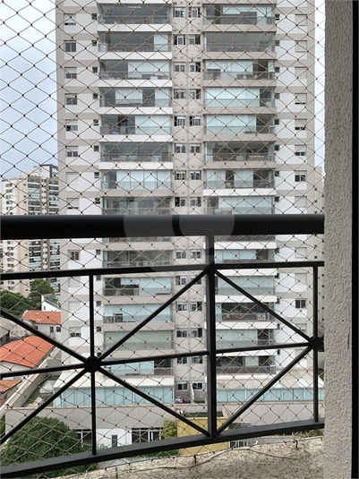 Foto REO1089523