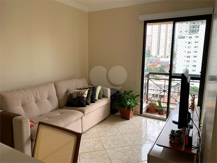 Foto REO1089523