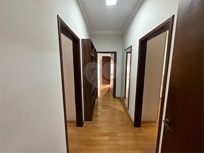 Foto REO1089525