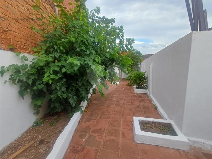 Foto REO1089535