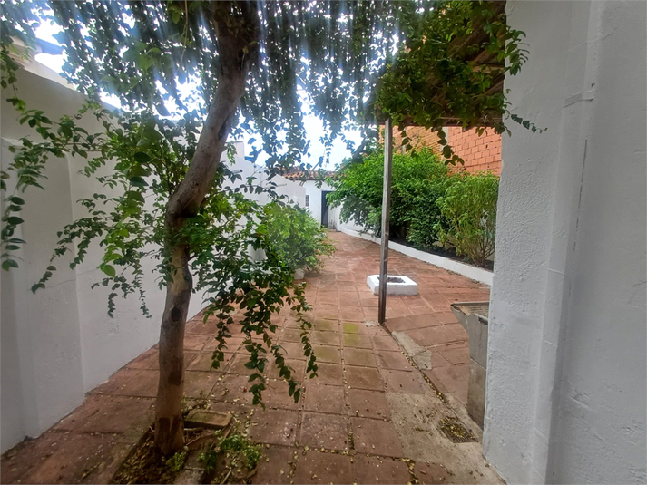 Foto REO1089535