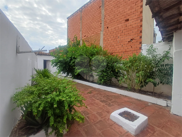 Foto REO1089535