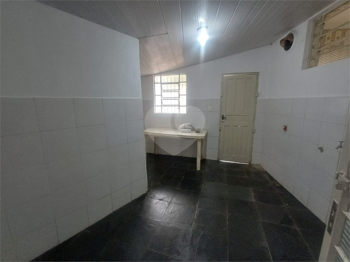 Foto REO1089535