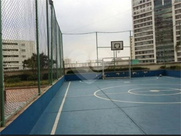 Foto REO1089548
