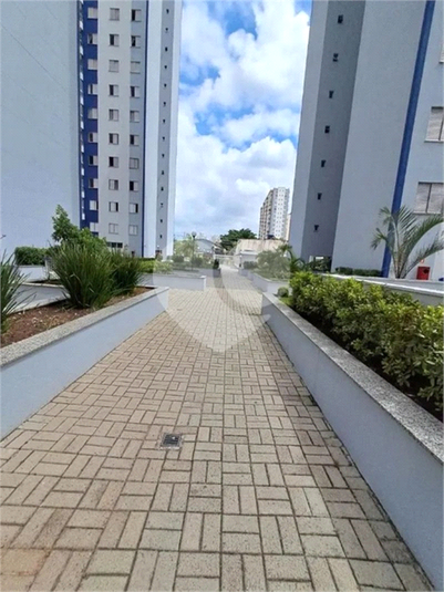 Foto REO1089550