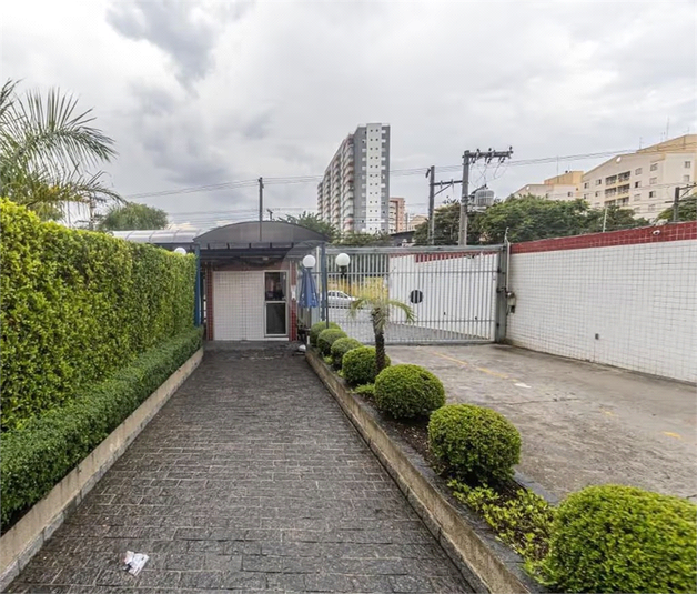 Foto REO1089550