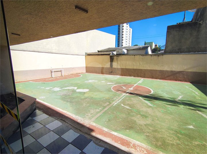 Foto REO1089559
