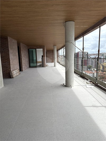 Foto REO1089560