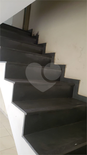 Foto REO1089562