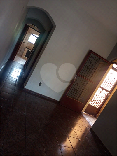 Foto REO1089563