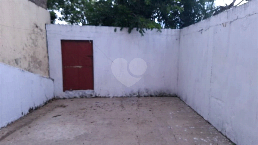 Foto REO1089563