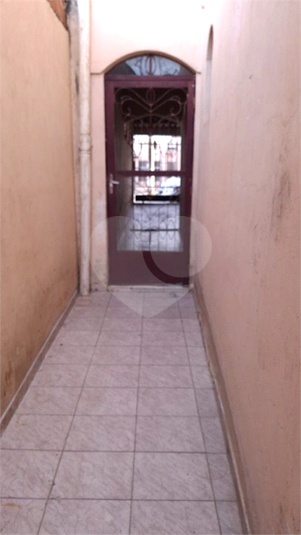 Foto REO1089563