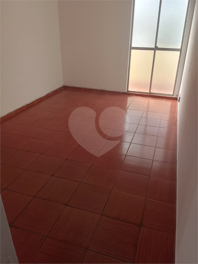 Foto REO1089566