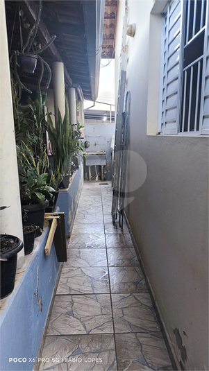Foto REO1089574