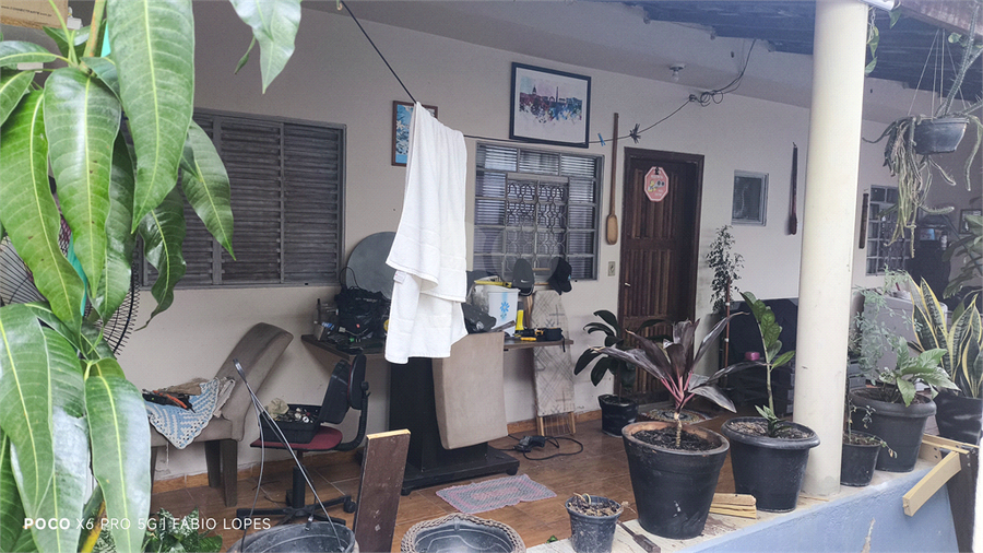 Foto REO1089574